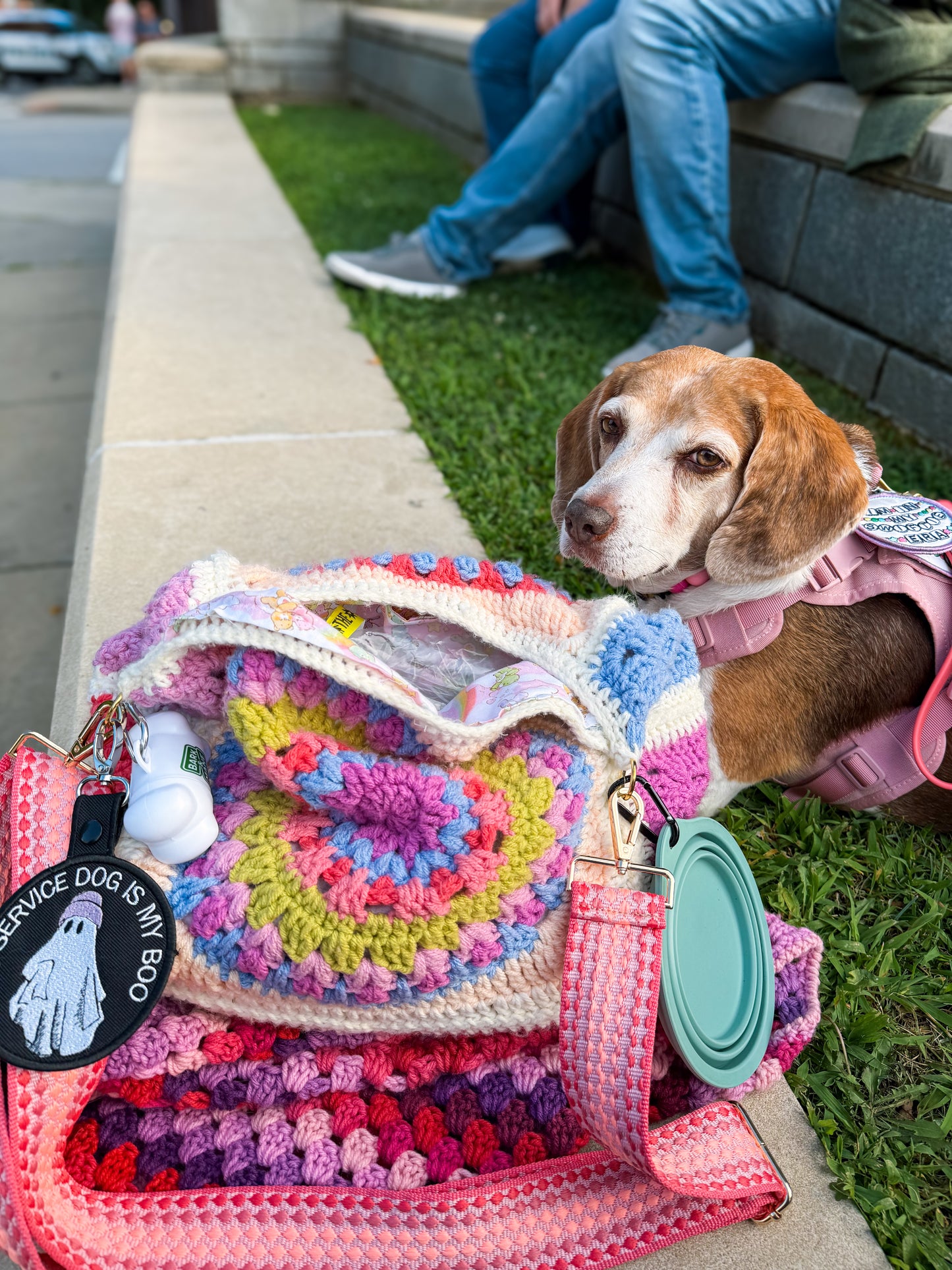 Hot Granny Hobo Bag - Cinderella
